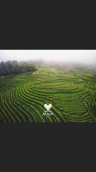Maia Casa Da Calheta别墅 外观 照片